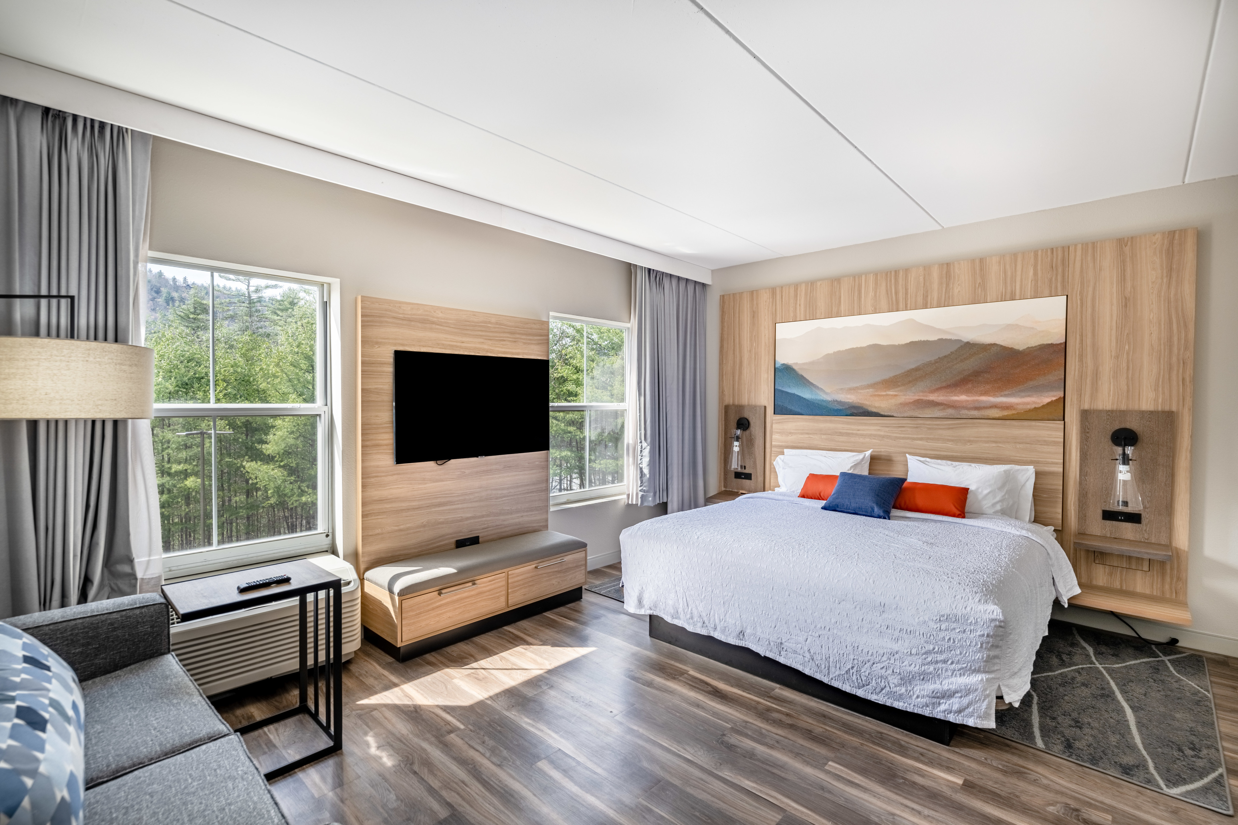 guest room, 1 king bed, tv, window views
