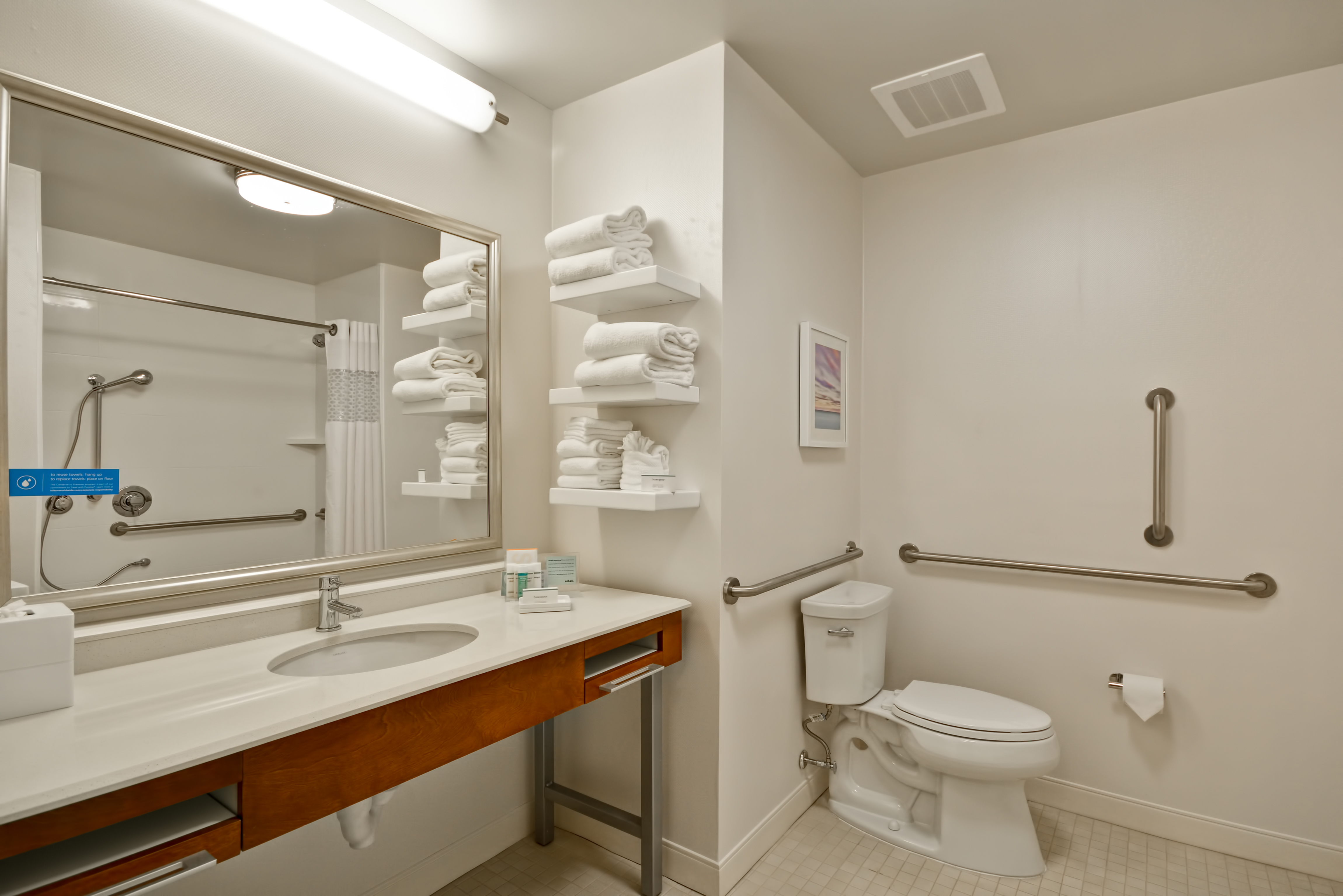 Accessible Bathroom with Handles on Wall and Roll-in Shower