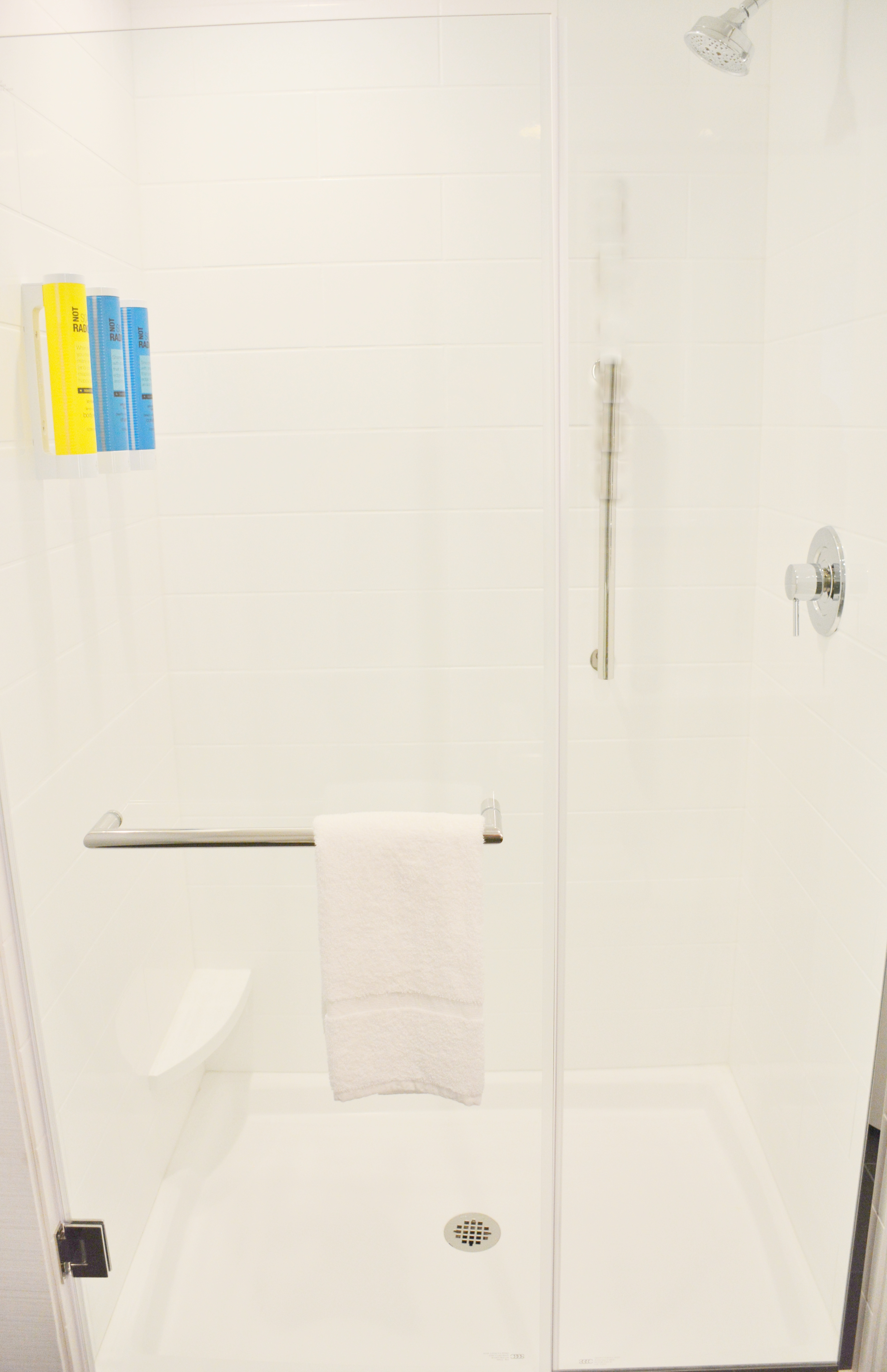 Shower with handrails and products