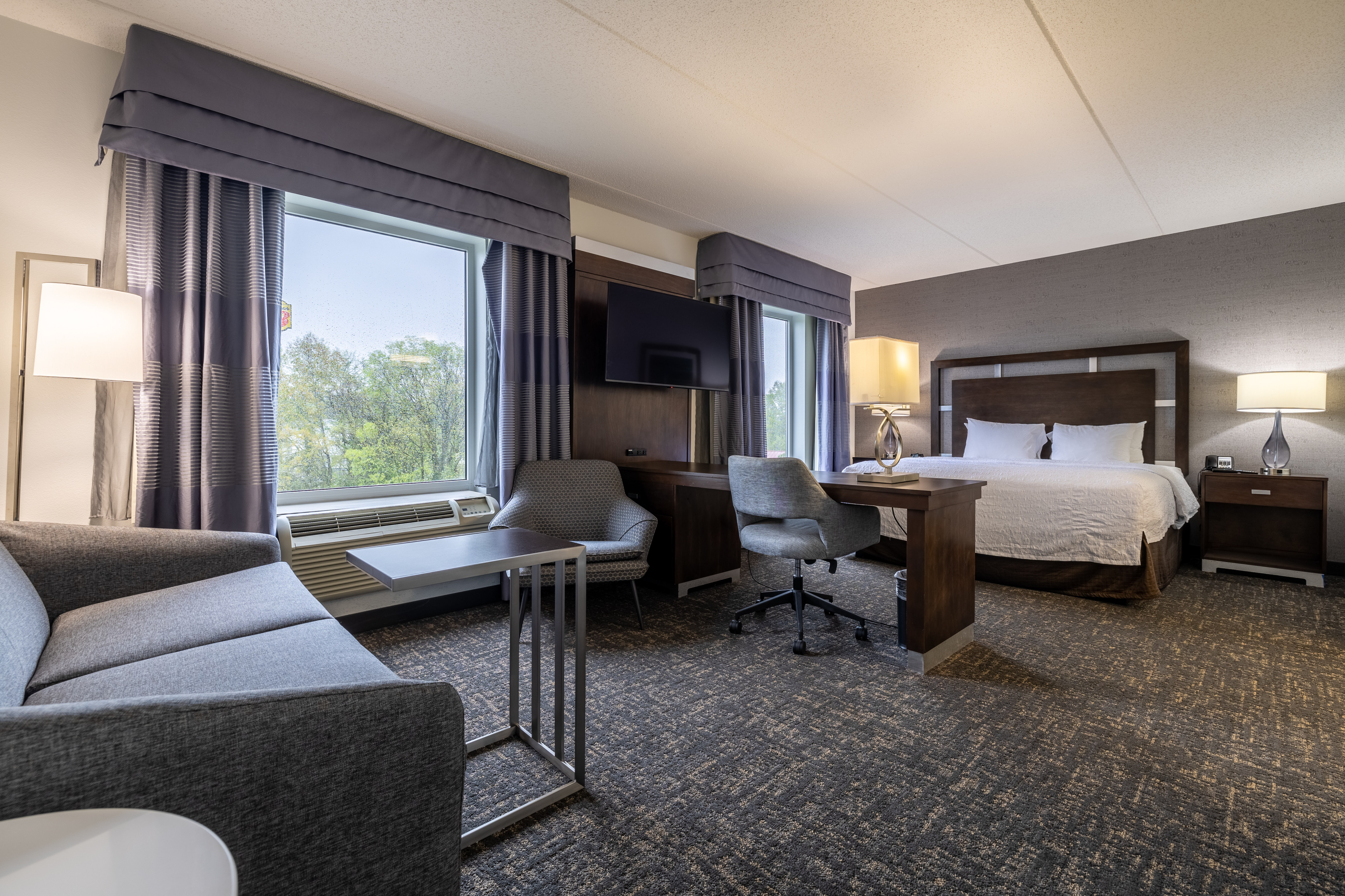 guest suite, 1 king bed, work desk, sofa, chair, window view
