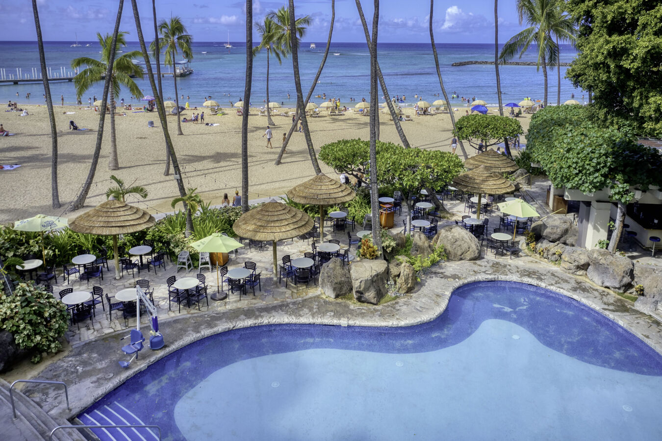 Hau Tree Cantina 和戶外泳池,享受海灘美景