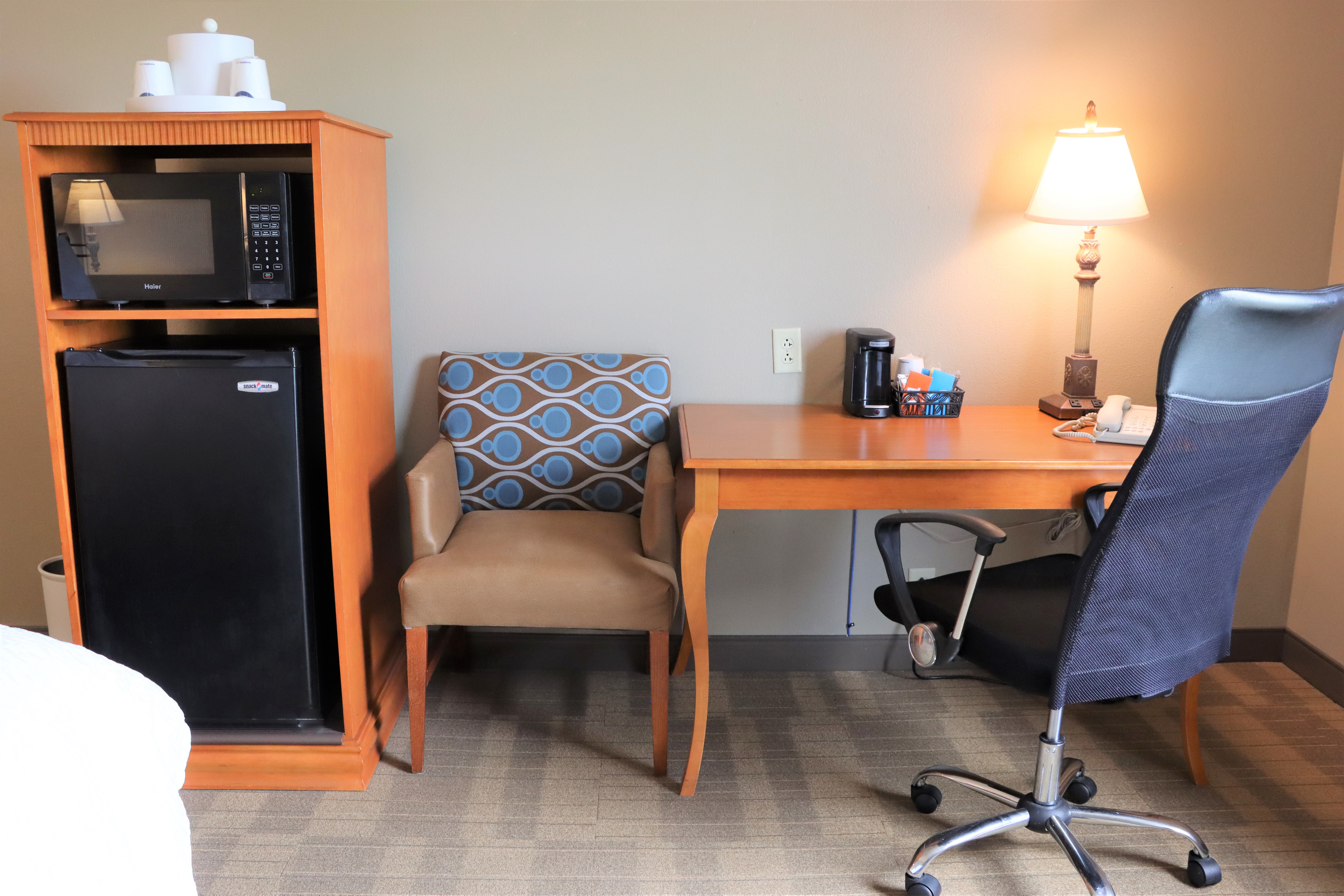 Desk Area Microwave and Mini Fridge in Guest Room