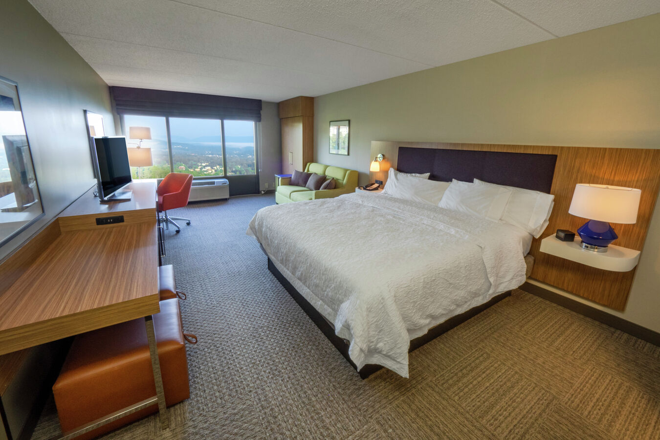 King Study Guest Room