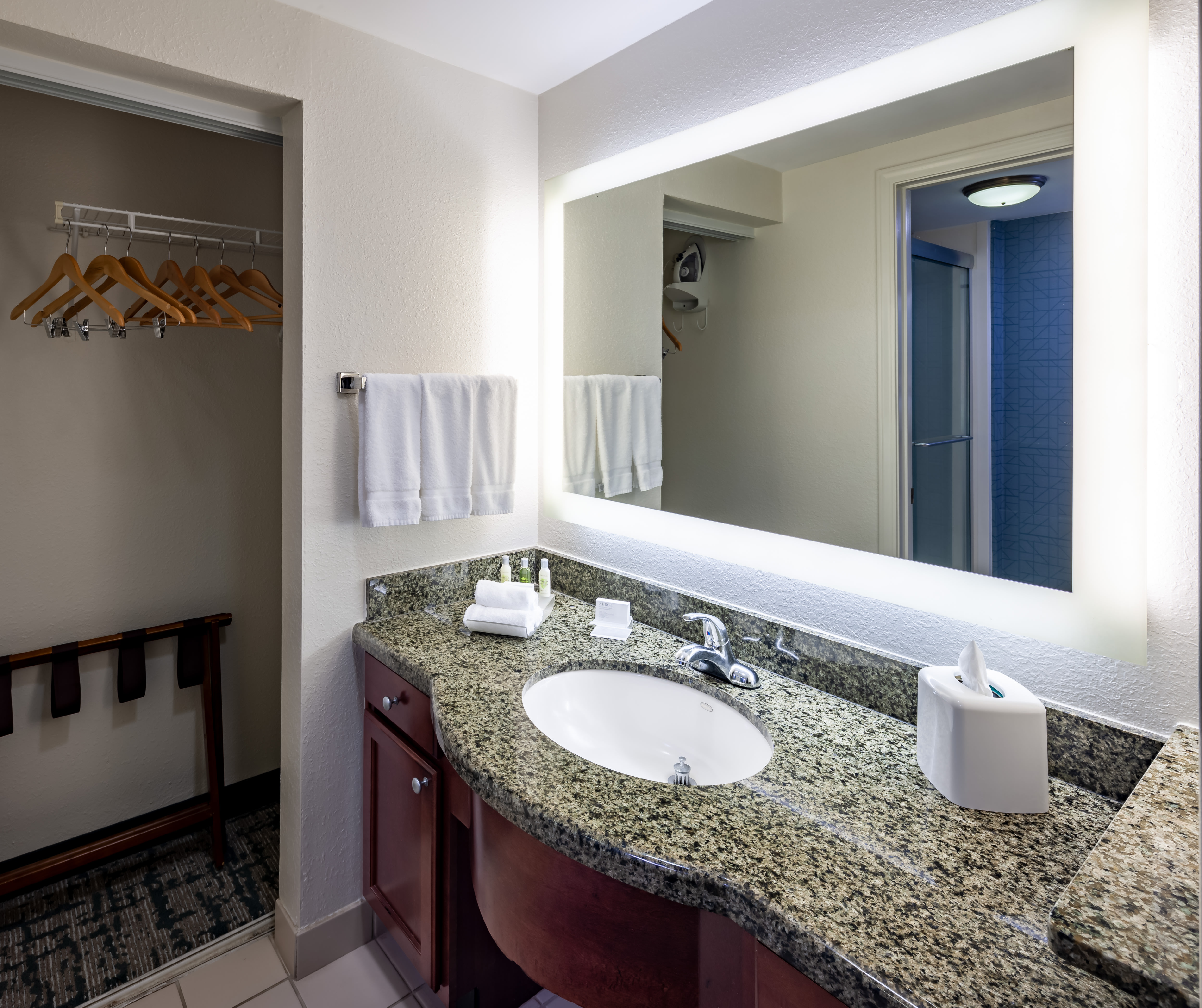 guest suite bathroom, vanity, closet, shower