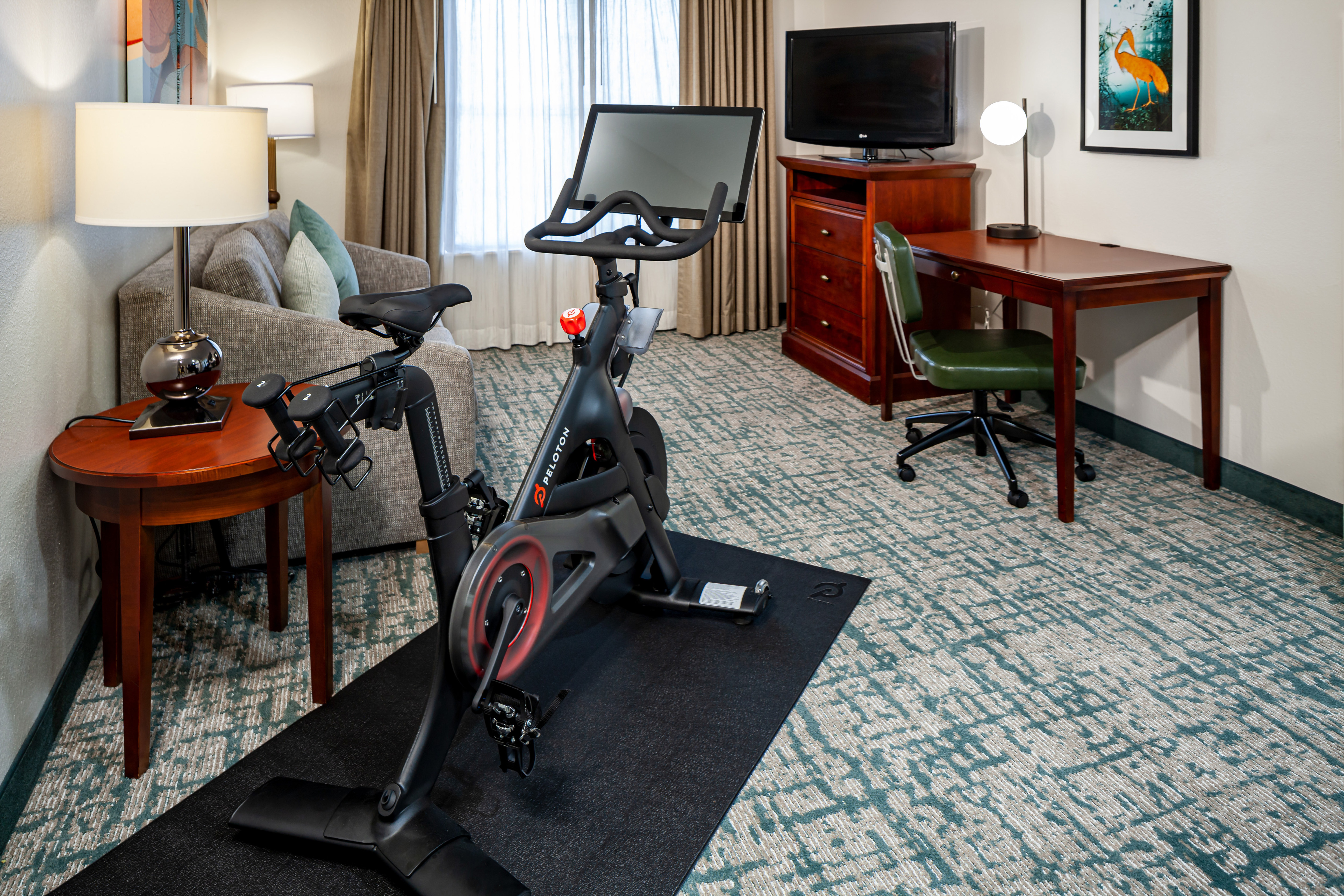 guest suite lounge area, sofa, tv, Peloton Bike