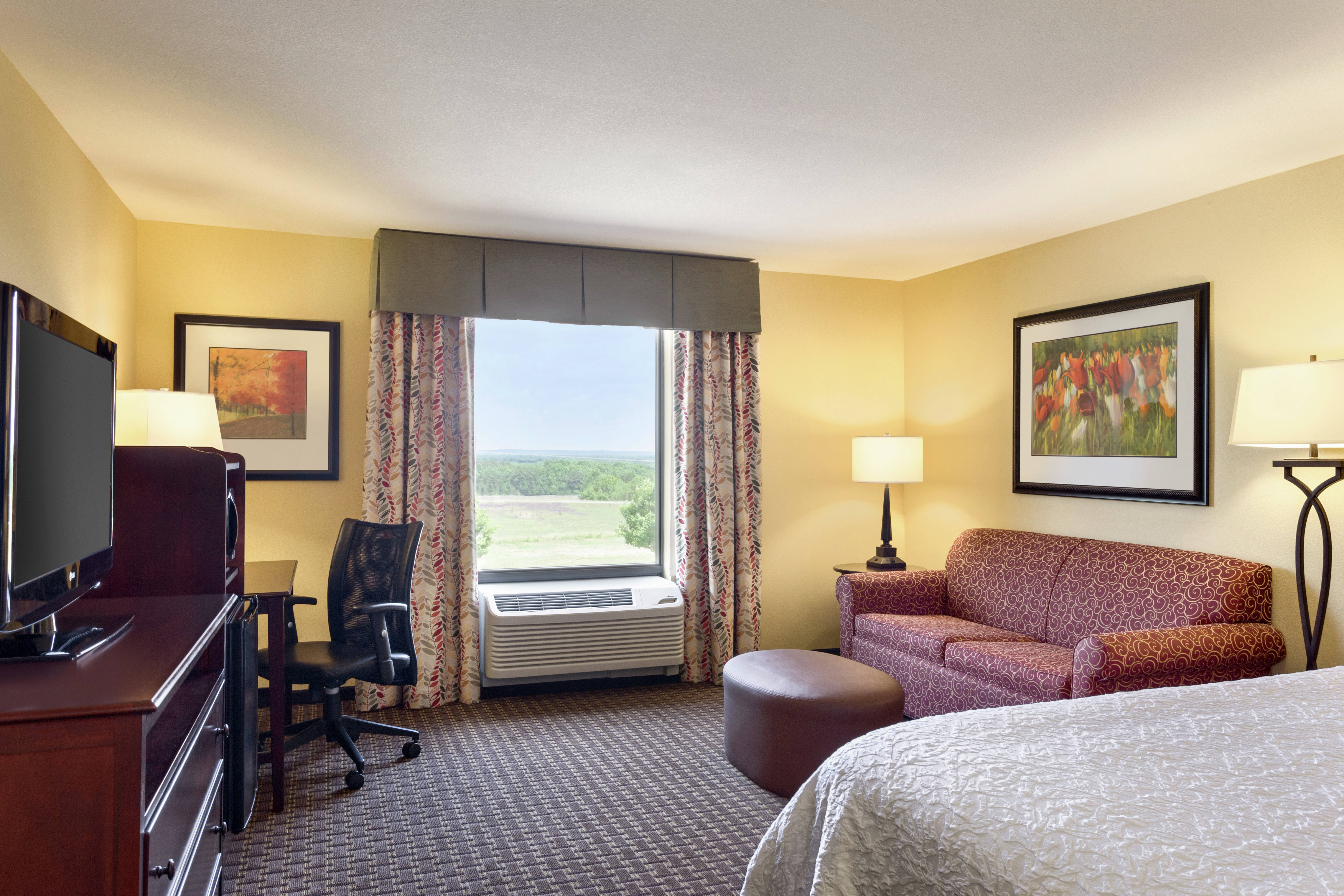 One King Bed Guest Room with Sofabed