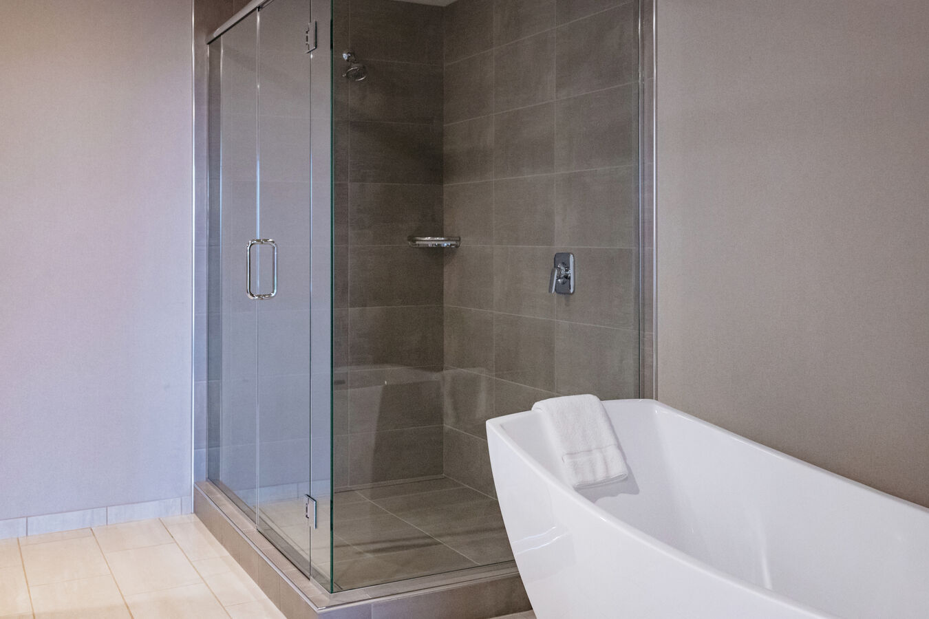 Suite Bathroom Shower and Tub