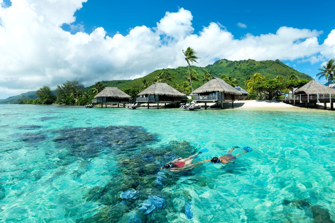 客人在瀉湖中游泳,背景是小屋景觀
