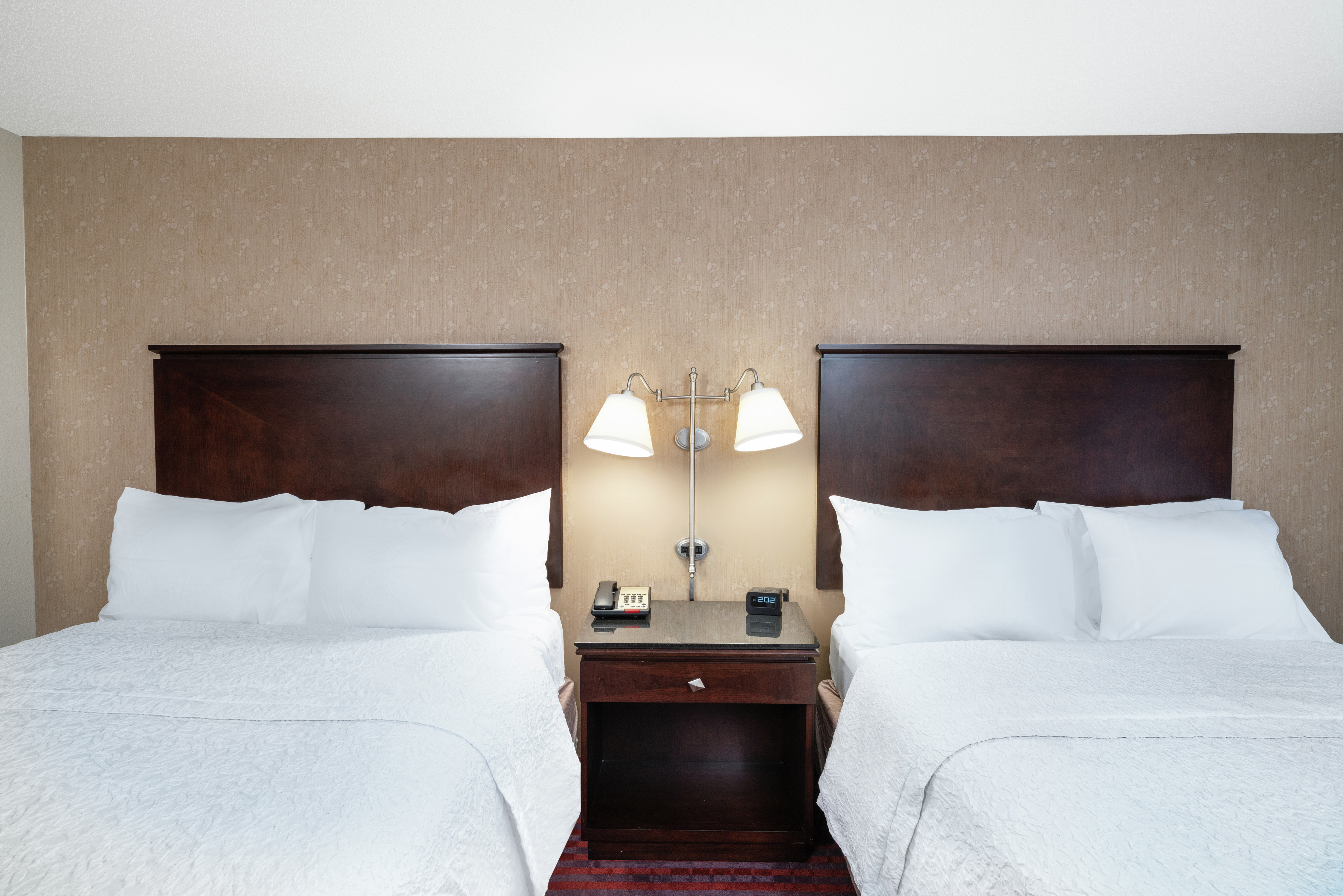 Standard  Two Queen Beds Room