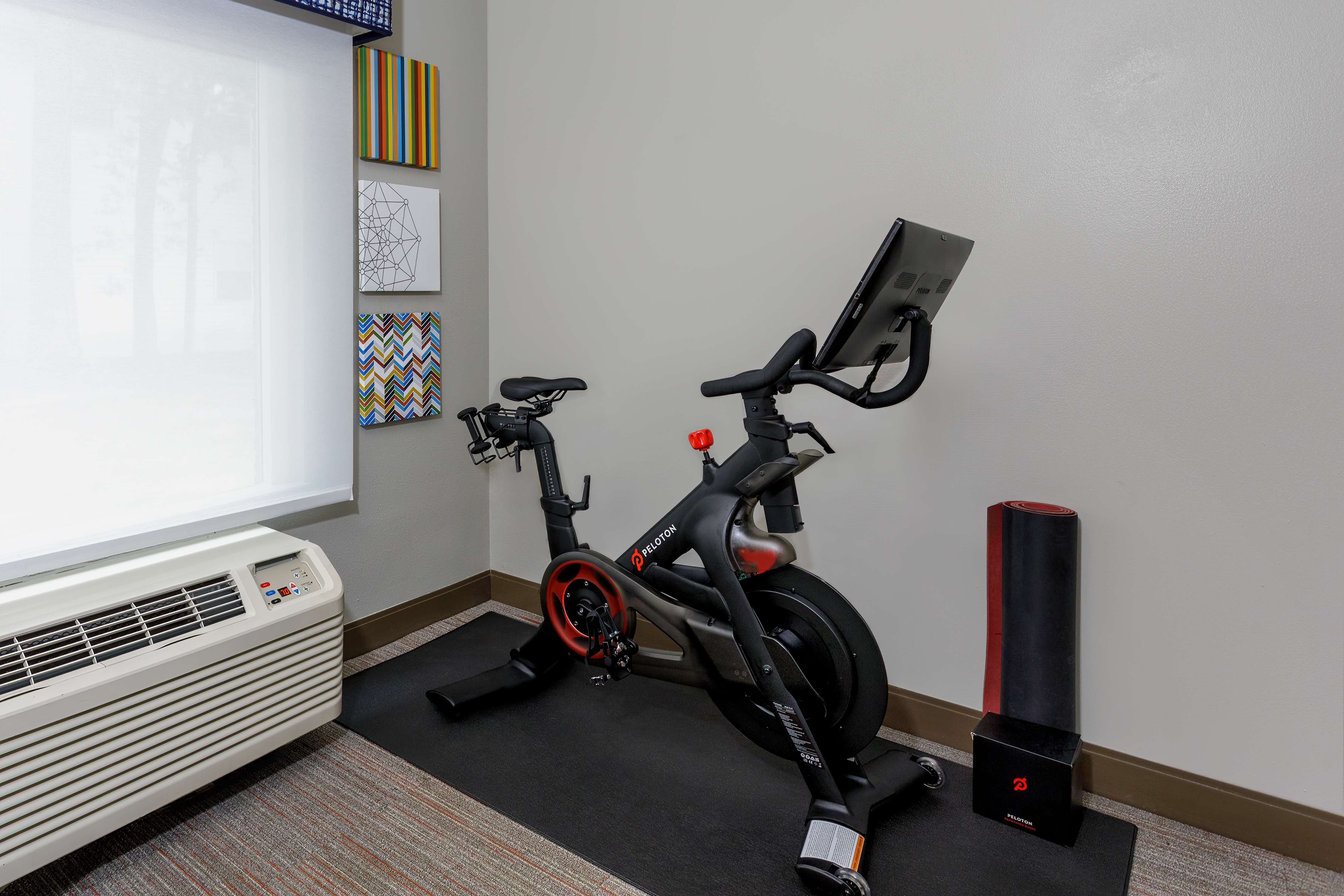客房（1 张特大床）Peloton 自行车