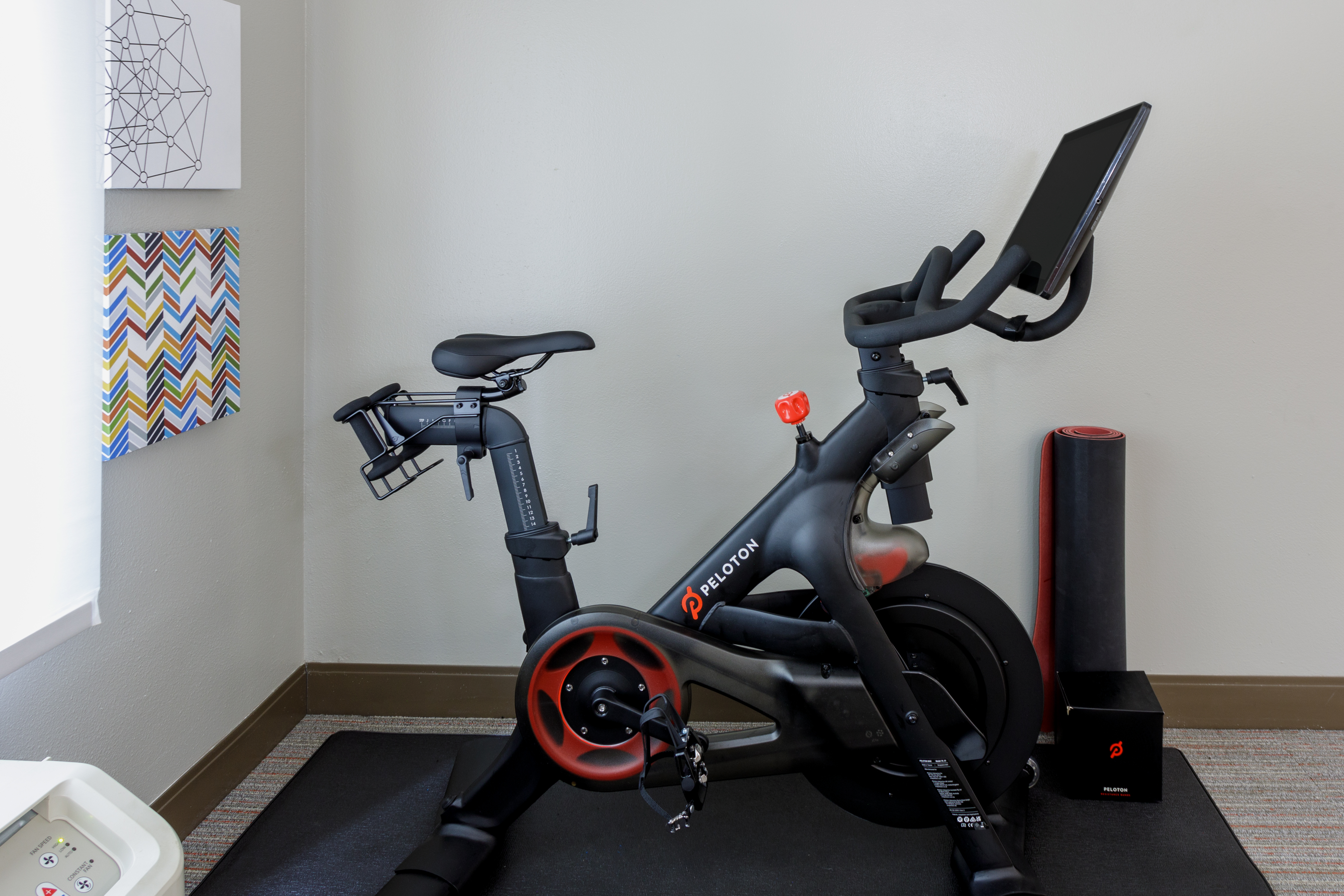 客房（1 张特大床）Peloton 自行车
